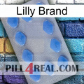 Lilly Brand 21